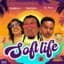 SOFT LIFE cover art